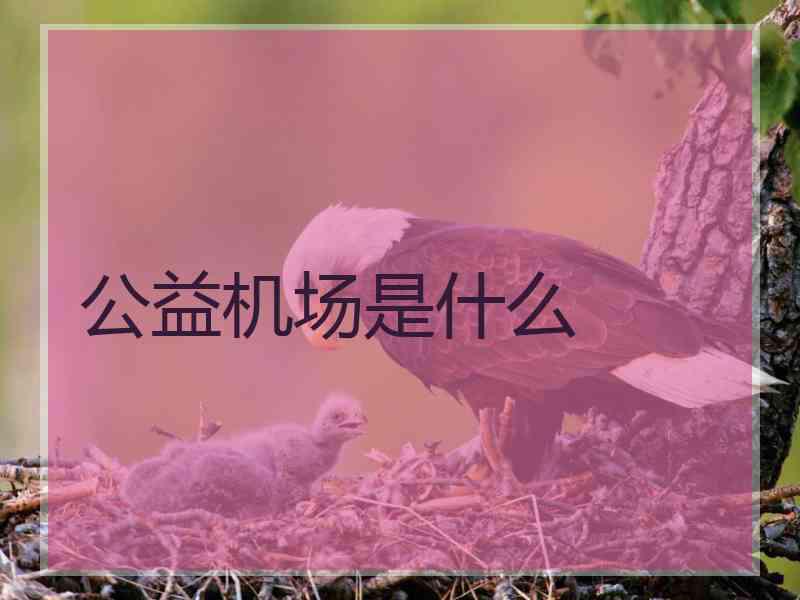 公益机场是什么