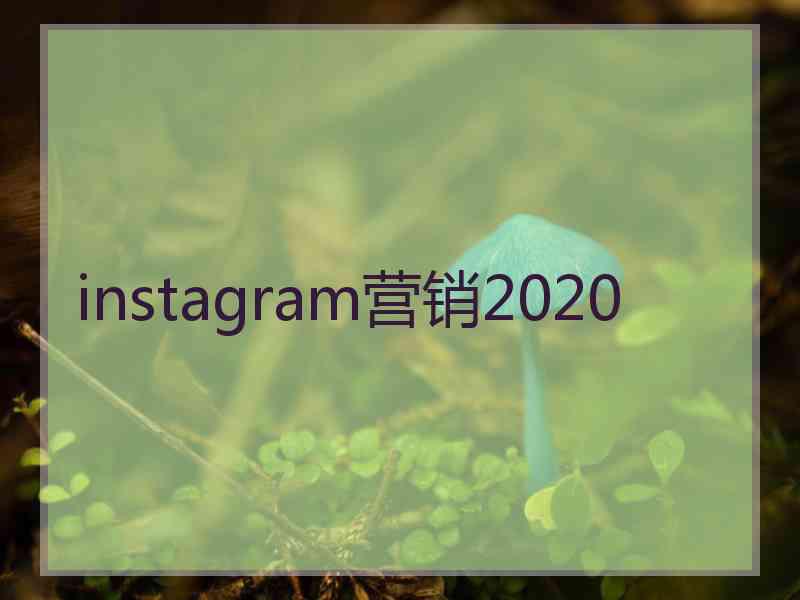 instagram营销2020