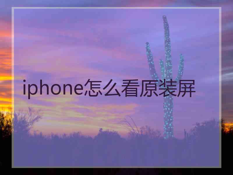 iphone怎么看原装屏