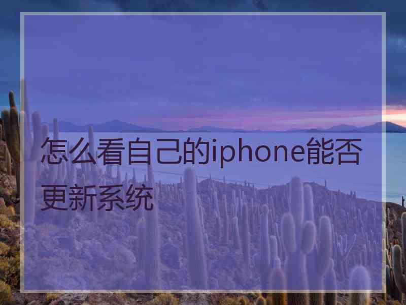 怎么看自己的iphone能否更新系统