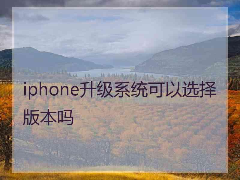 iphone升级系统可以选择版本吗