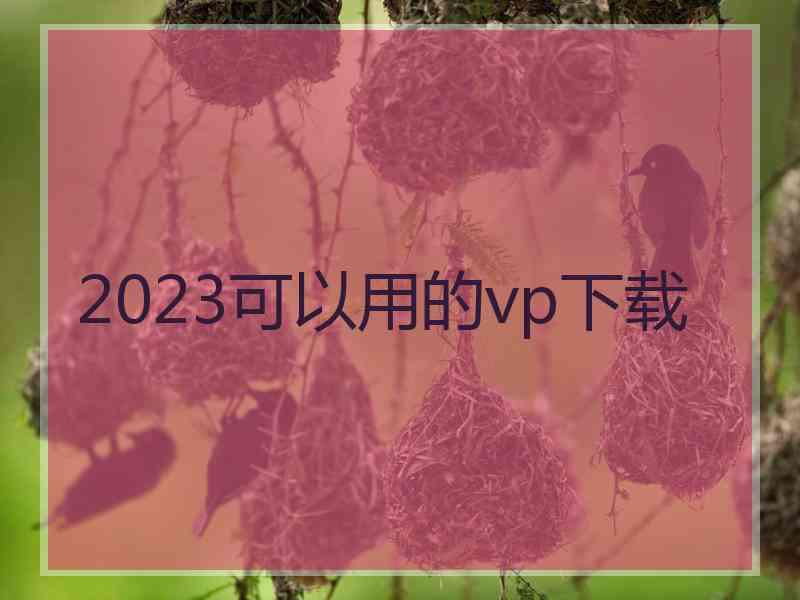 2023可以用的vp下载