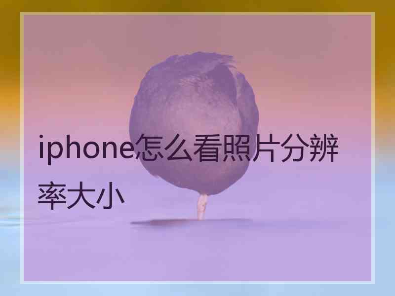 iphone怎么看照片分辨率大小