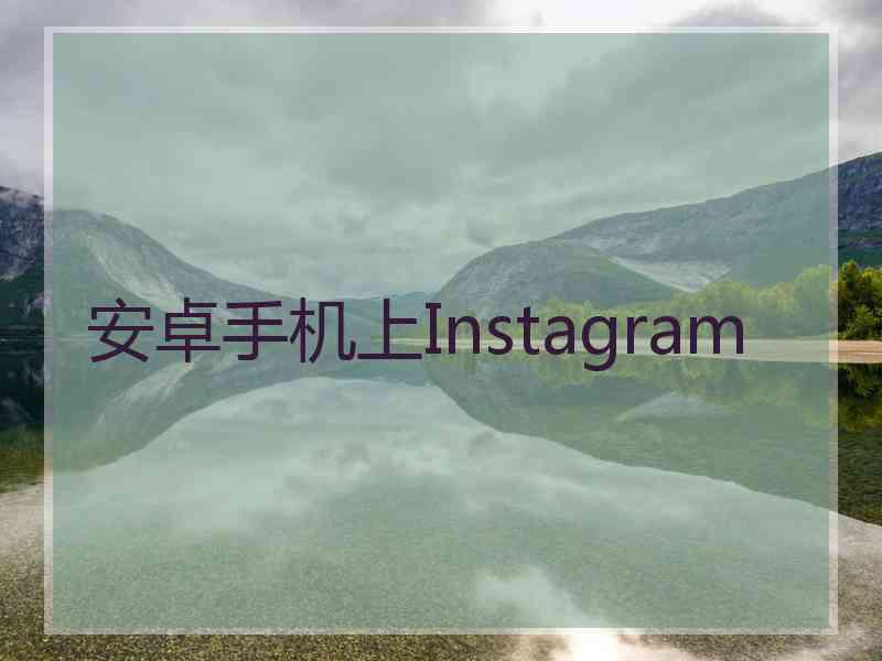 安卓手机上Instagram