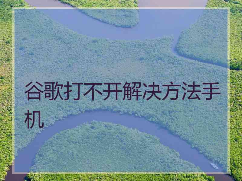 谷歌打不开解决方法手机