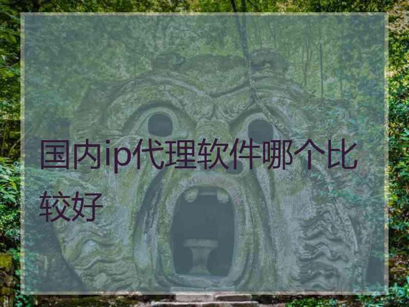 国内ip代理软件哪个比较好