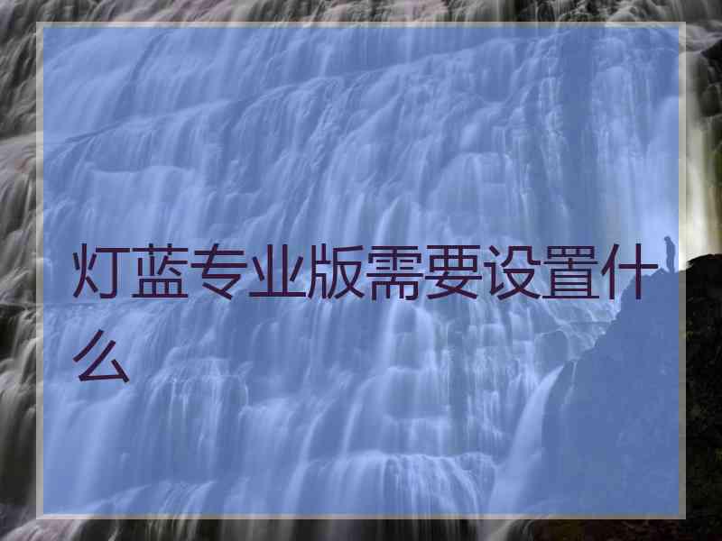 灯蓝专业版需要设置什么