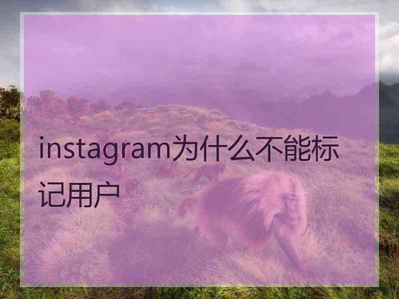 instagram为什么不能标记用户