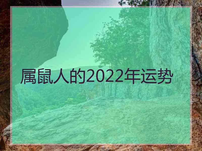 属鼠人的2022年运势