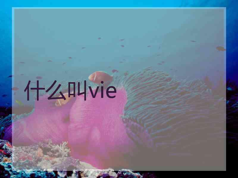 什么叫vie