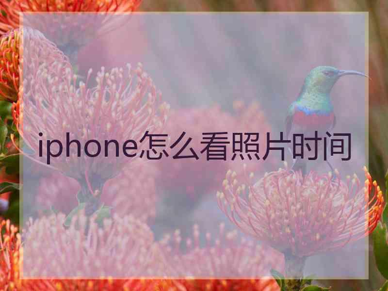 iphone怎么看照片时间