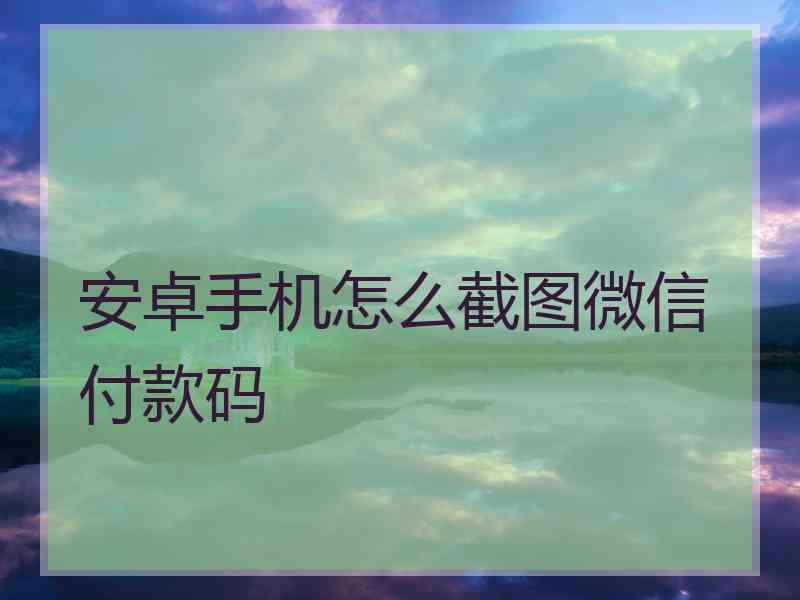 安卓手机怎么截图微信付款码