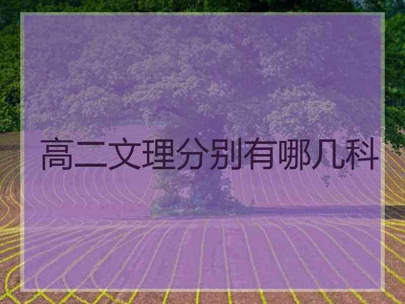 高二文理分别有哪几科