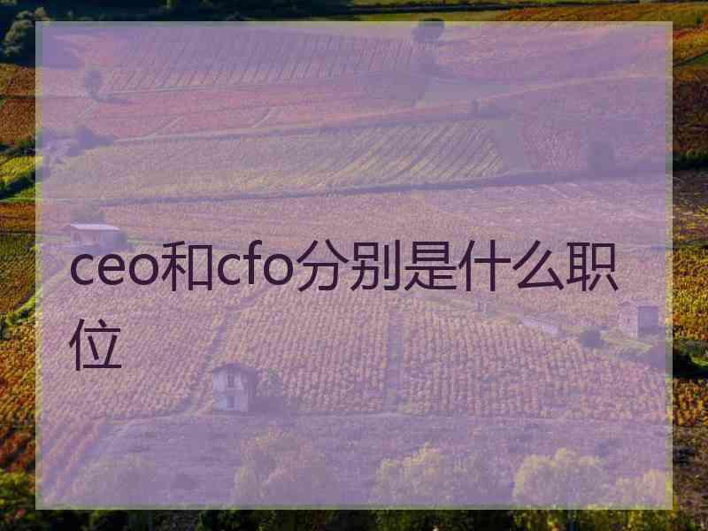 ceo和cfo分别是什么职位