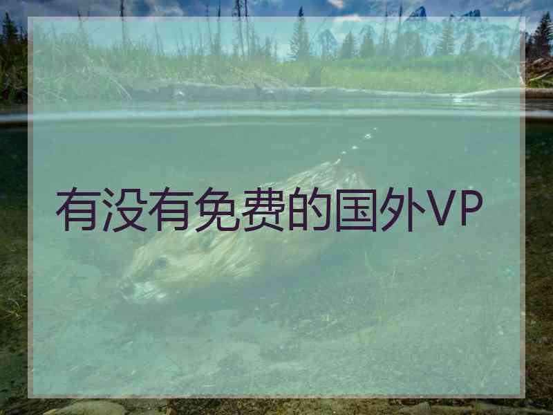 有没有免费的国外VP