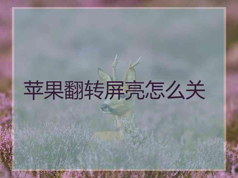 苹果翻转屏亮怎么关