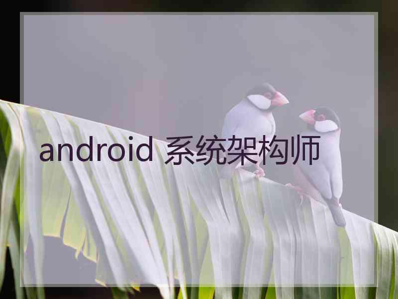 android 系统架构师