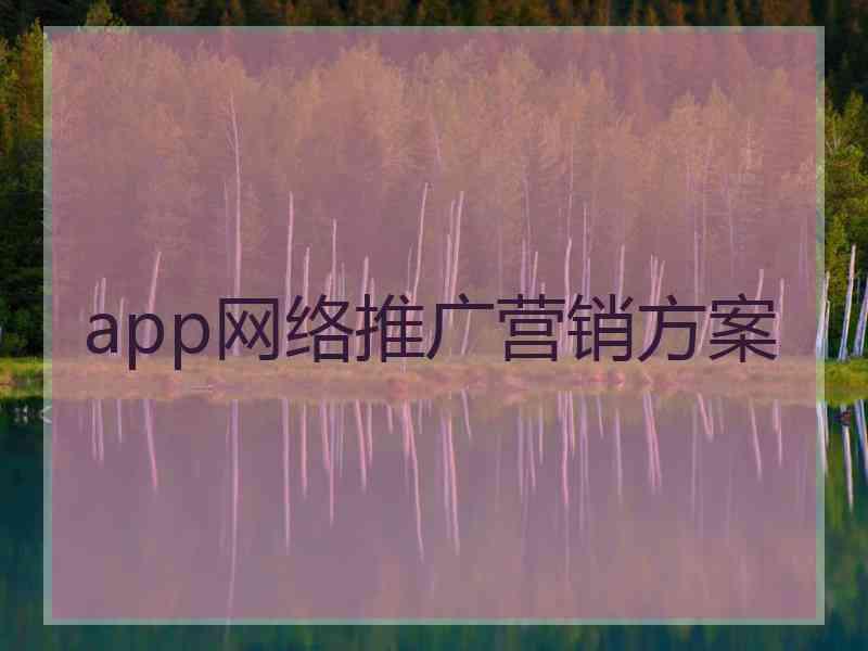 app网络推广营销方案