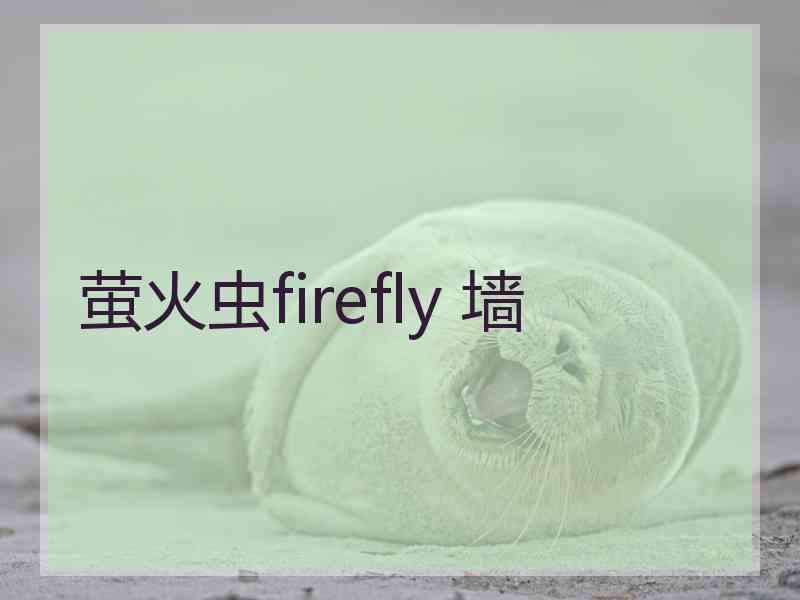 萤火虫firefly 墙