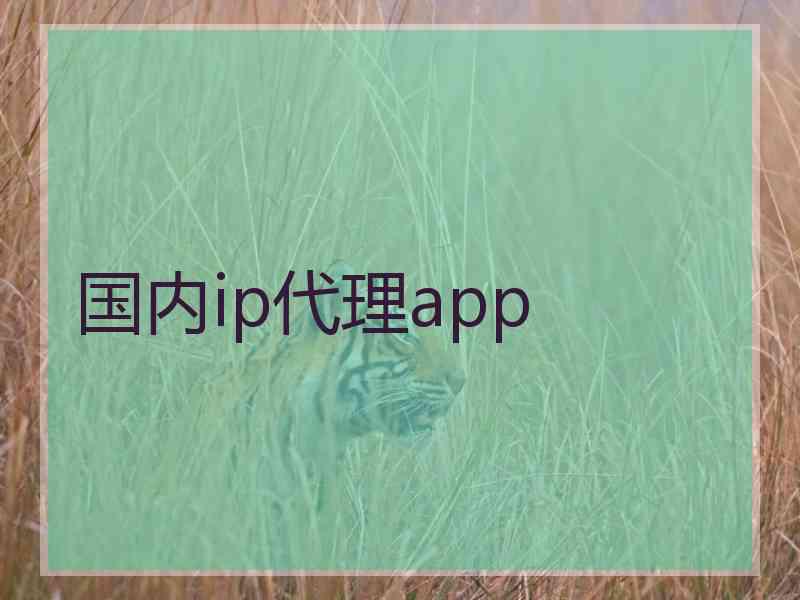 国内ip代理app