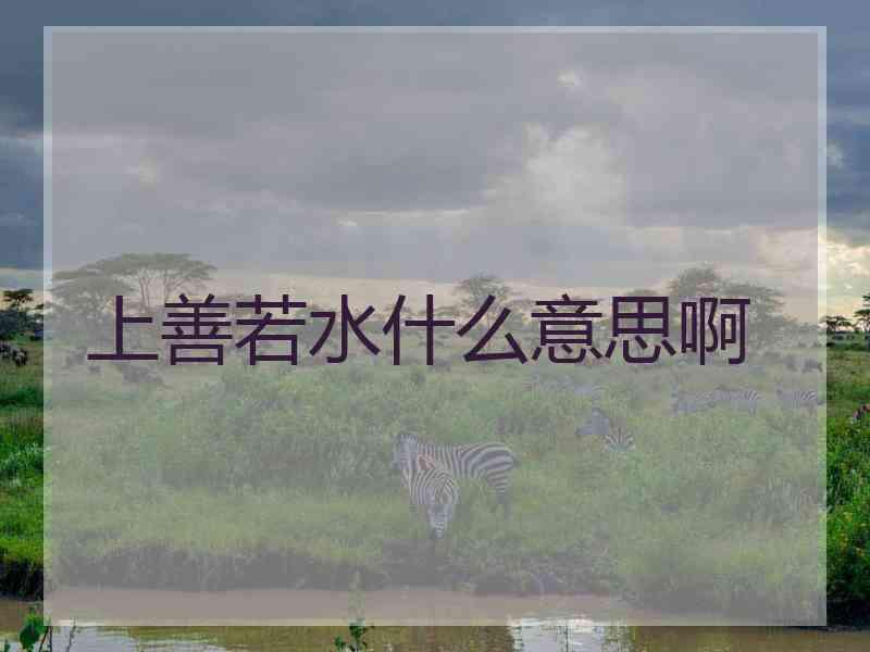 上善若水什么意思啊