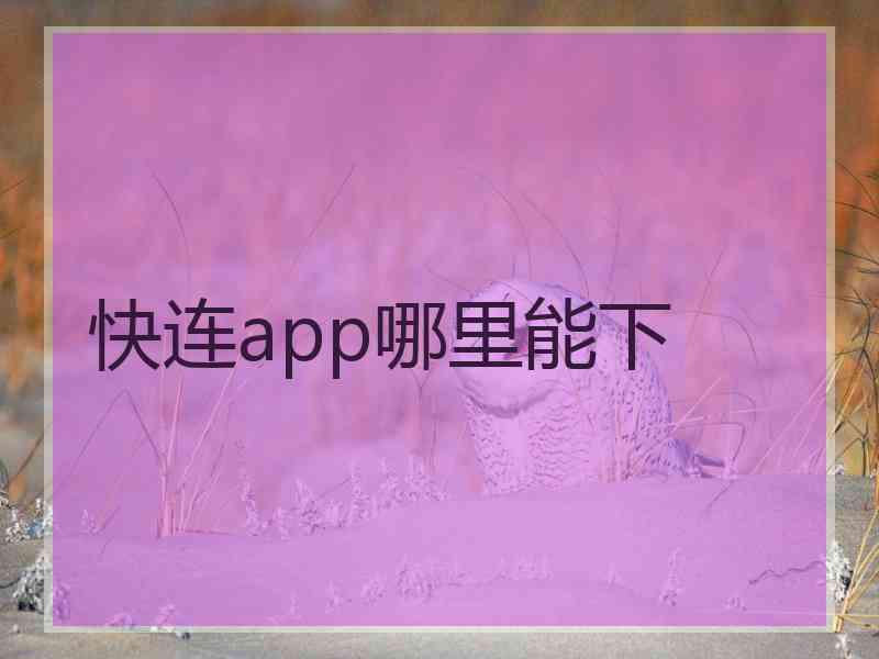 快连app哪里能下