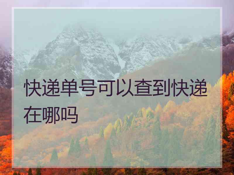 快递单号可以查到快递在哪吗