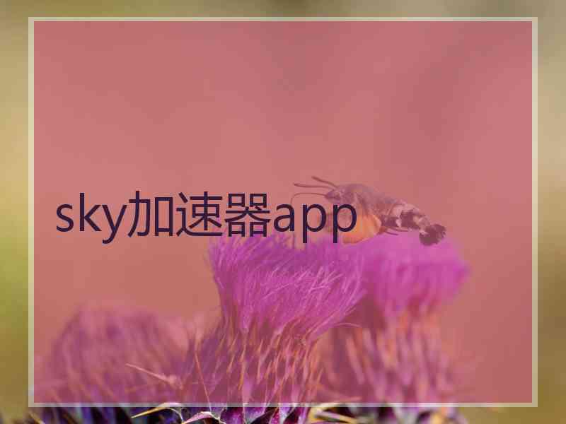 sky加速器app