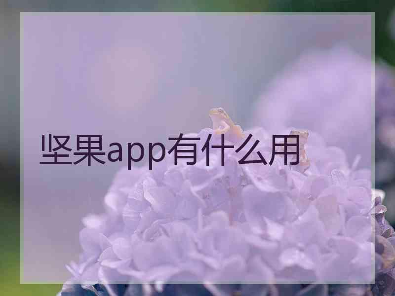 坚果app有什么用