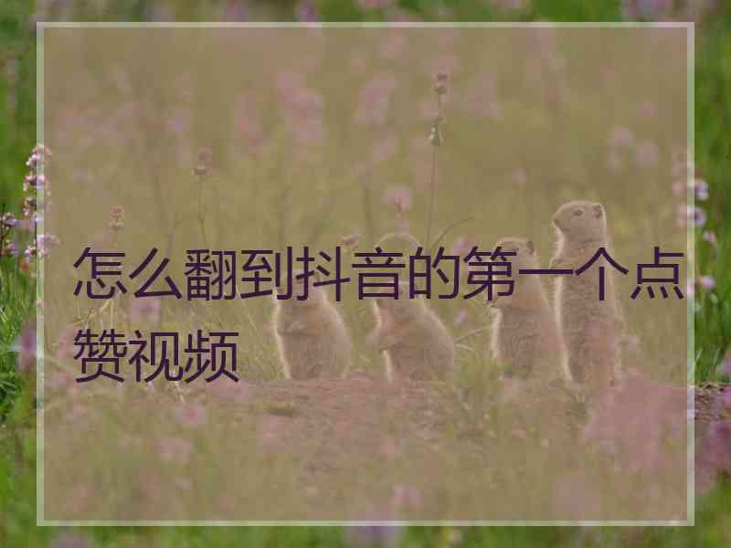 怎么翻到抖音的第一个点赞视频