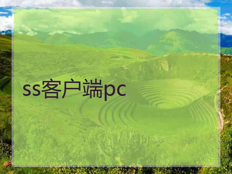 ss客户端pc