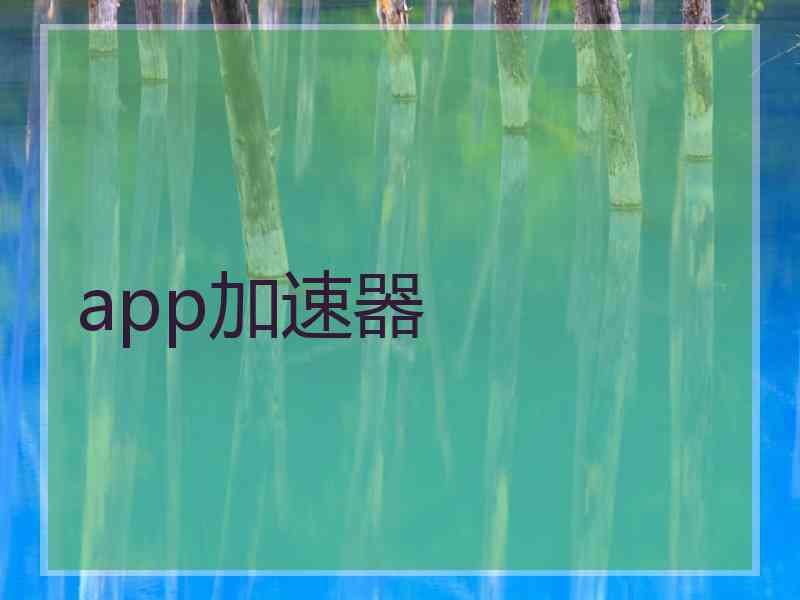 app加速器