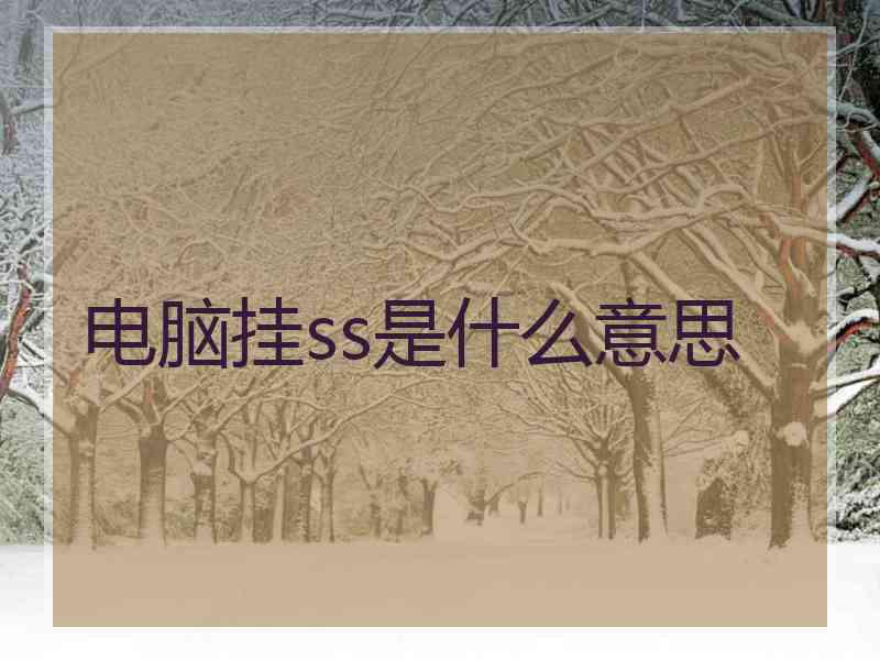 电脑挂ss是什么意思